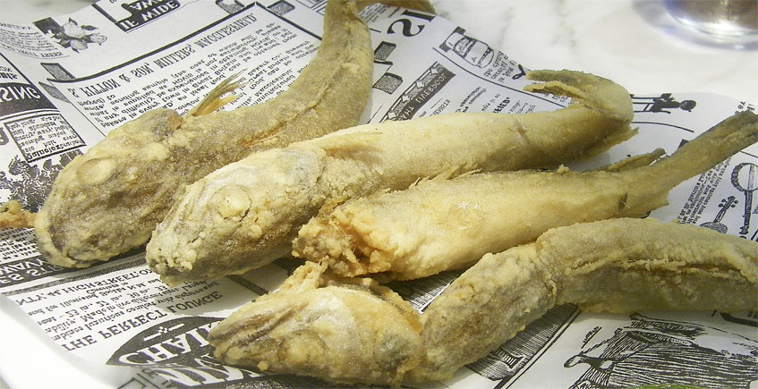 Pijotas