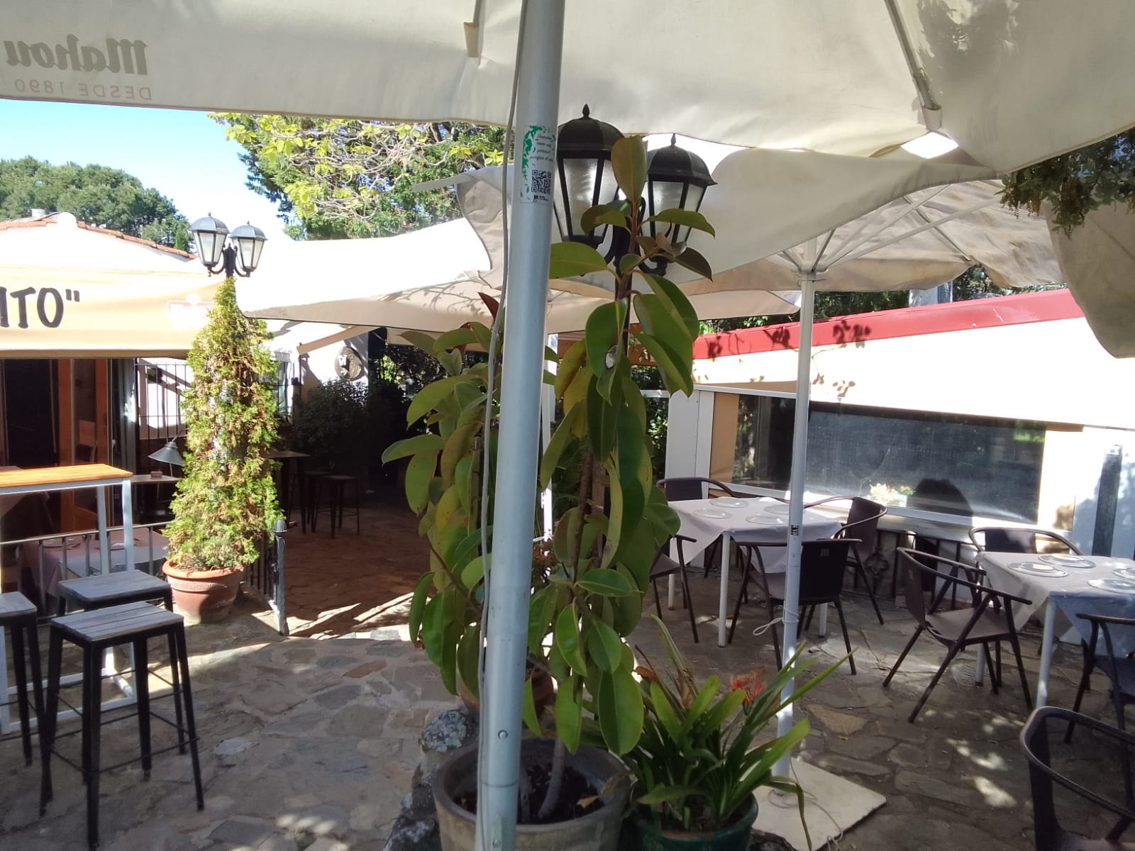 Restaurante El Campito - Vista 5